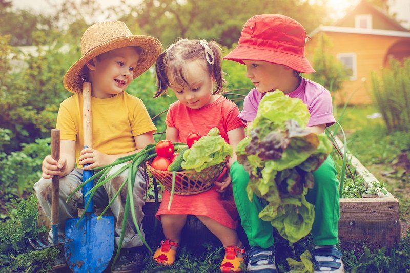 Le Potager de la crèche ! L'éveil à la nature Installé sur la partie Sud-Est du terrain, vos enfants pourront manipuler la terre, les graines, observer la nature faire son œuvre, arroser et soigner le jardinet de la crèche !